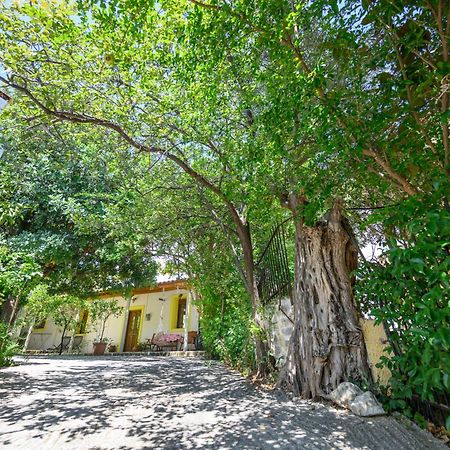 Small Villa Gerani Agios Vlasios (Euboea) Exterior foto