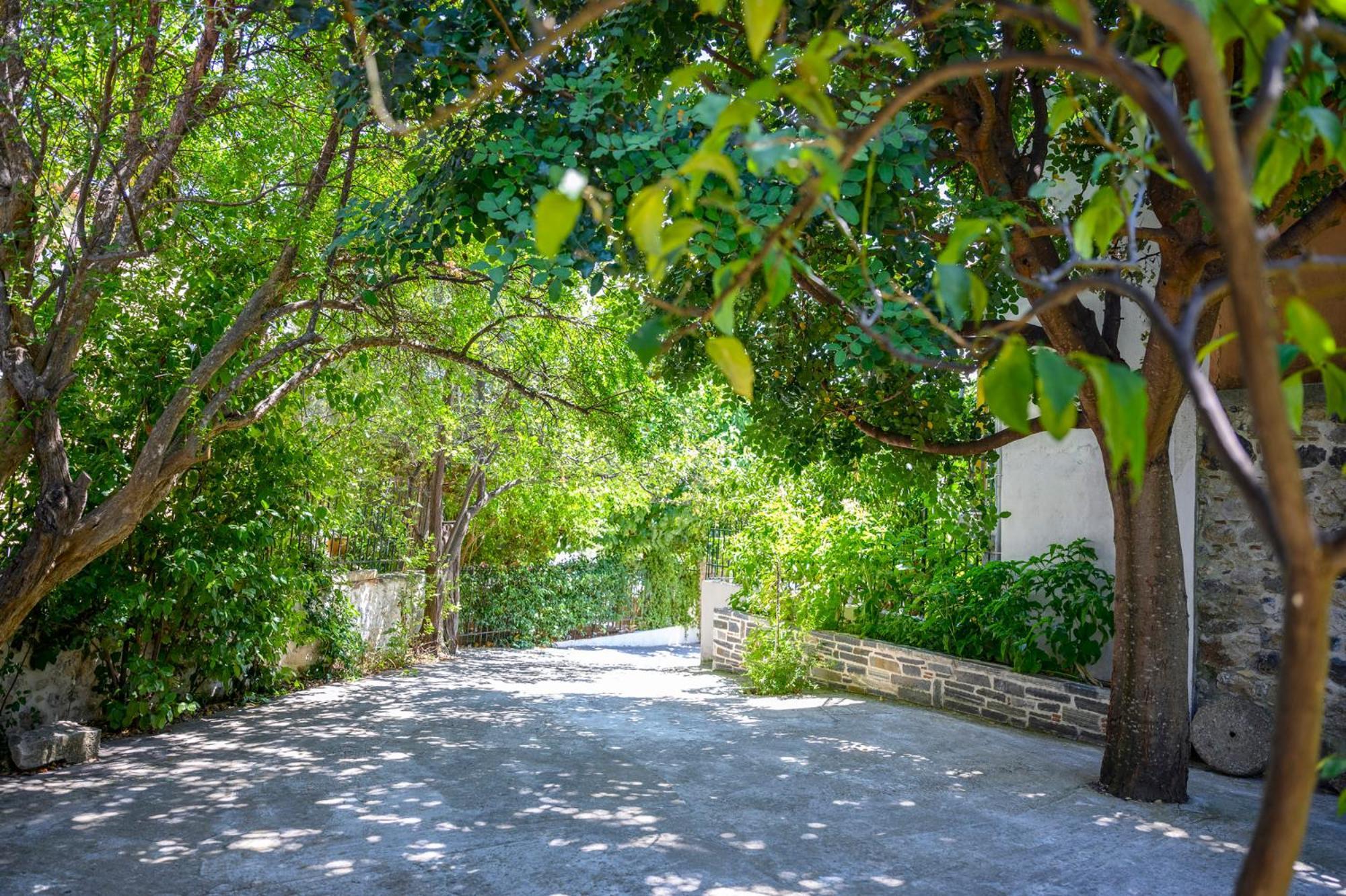 Small Villa Gerani Agios Vlasios (Euboea) Exterior foto