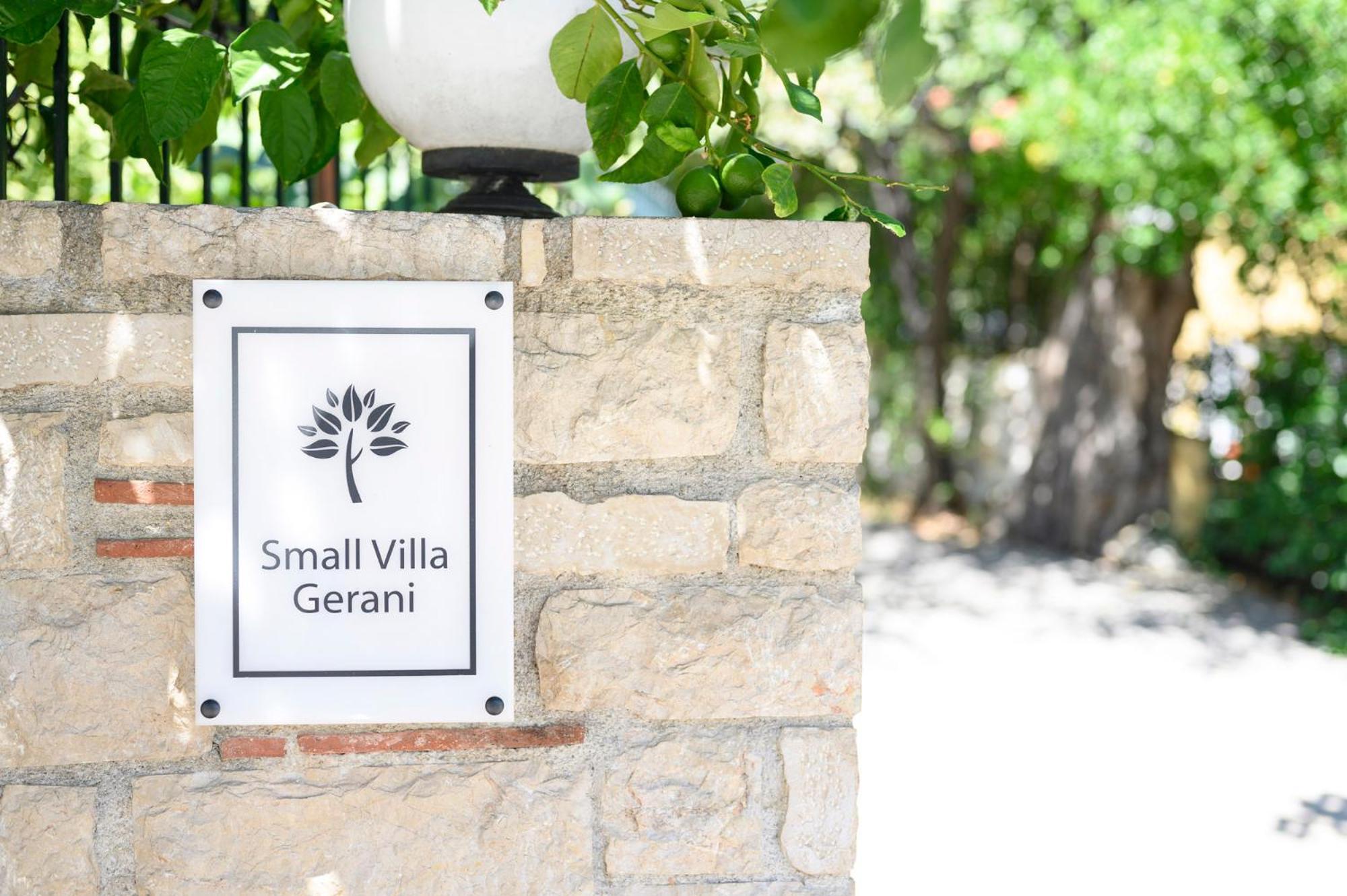Small Villa Gerani Agios Vlasios (Euboea) Exterior foto